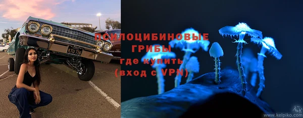 ПСИЛОЦИБИНОВЫЕ ГРИБЫ Абдулино