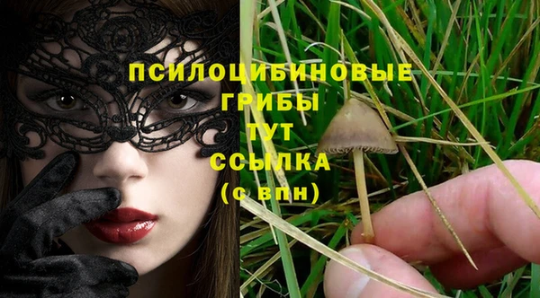 дживик Елабуга