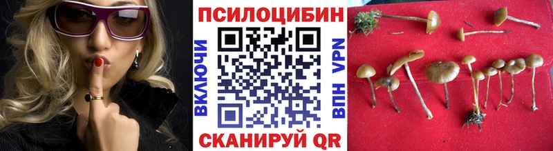 Псилоцибиновые грибы Cubensis Лангепас